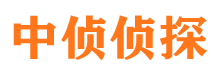 龙马潭市侦探公司